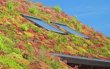 Drumhirk living roof systems