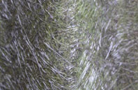 Drumhirk fibreglass roof work